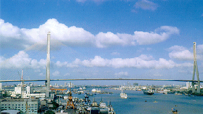 世界第一斜拉桥——杨浦大桥建成