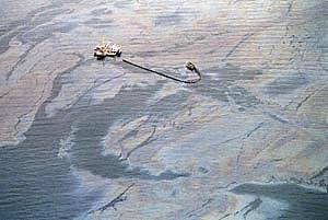 1994年9月16日 埃克森公司因污染海洋被罚五十亿美元