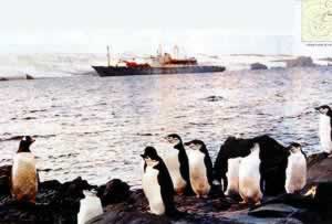 我国首次赴南极洲考察船队启航