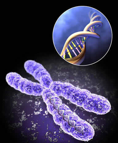 1999年12月1日 科学家完整破译第22对人体染色体遗传密码