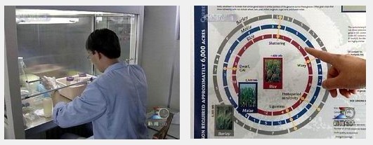 2002年12月12日 我完成世界首张水稻基因组精细图