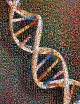 科学家首次公布人类基因组图谱