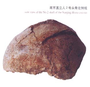 南京汤山古人类头骨被发现