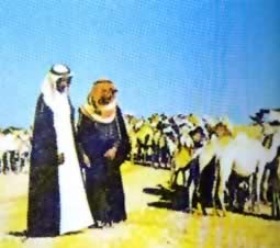 我国与科威特建立外交关系(历史上的今天。cn)