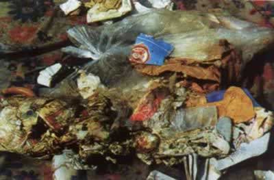 中国首次清查洋垃圾