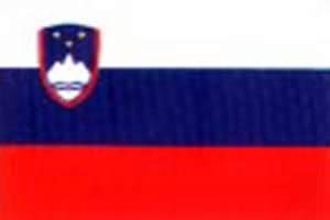我国与斯洛文尼亚建立外交关系