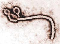 1995年5月14日 扎伊尔发现罕见传染病埃博拉